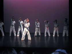 Démonstration de karaté Kyokushinkai à Montpellier