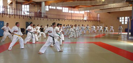 stage de karaté Kyokushinkai
