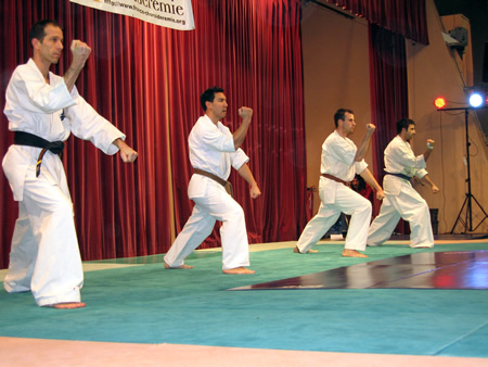 Présentation du Tsuki-no-kata lors du Gala des Arts Martiaux et Sports de Combat à Lodève