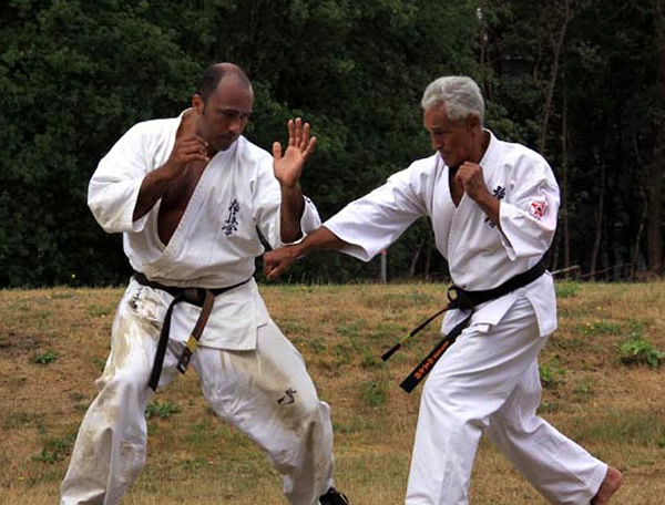 Shihan Fransisco FILHO et Shihan Ton van ELTEN lors d'une session kumite