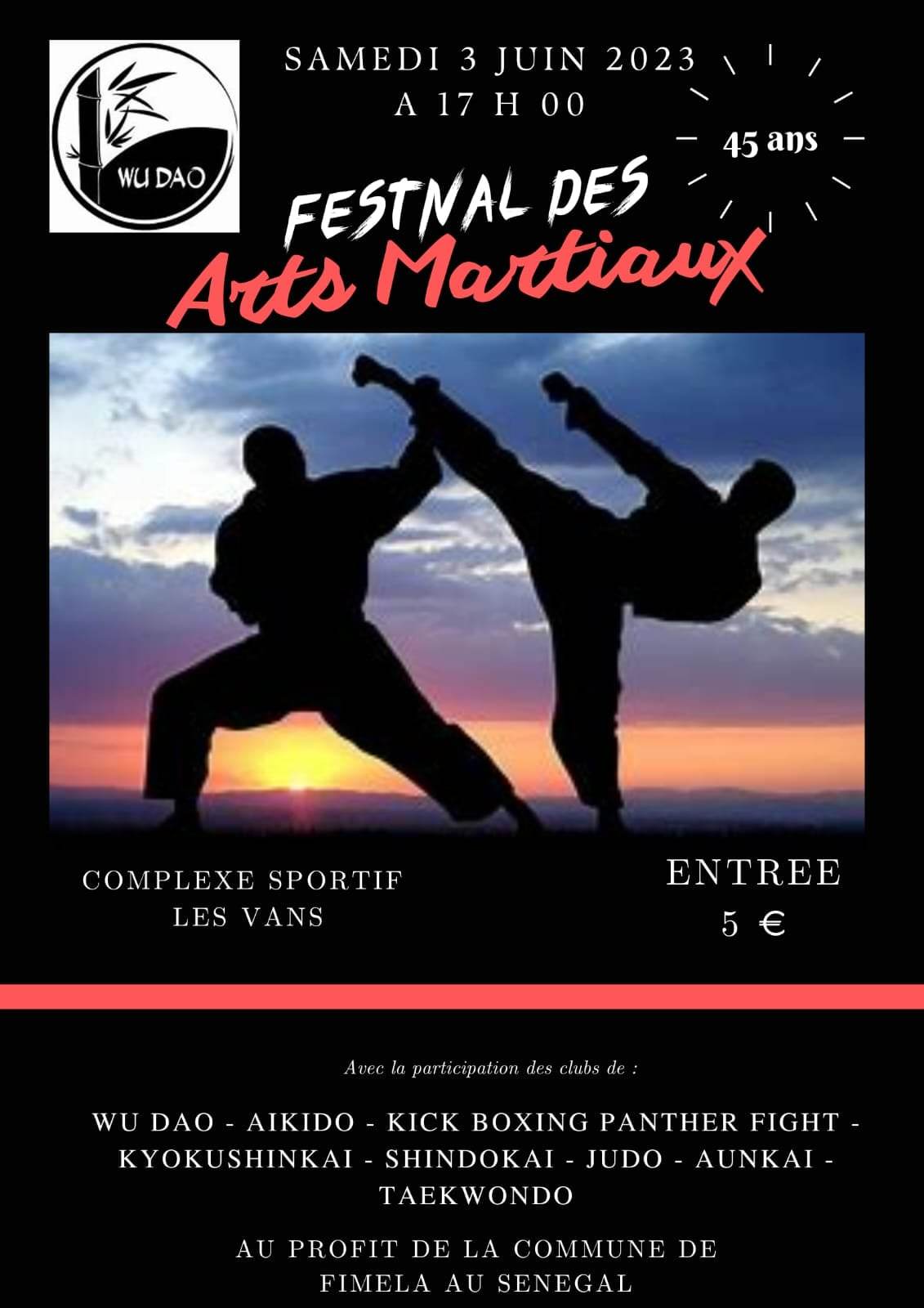 Démonstration de karate kyokushinkai au festival arts martiaux à les Vans