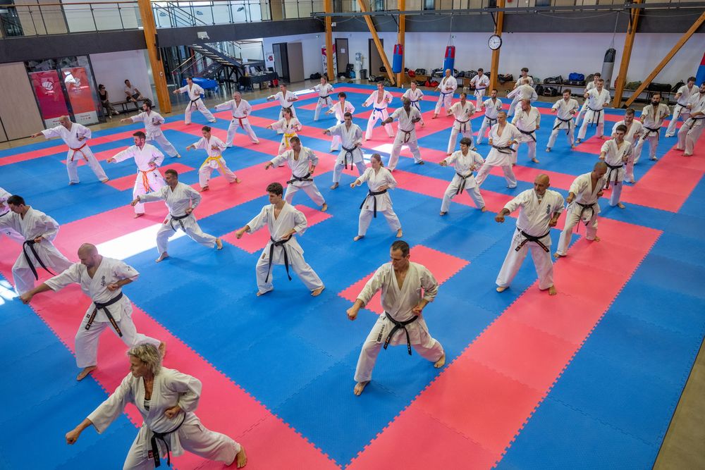 Stage national Kyokushinkai FFKDA à Castelnau-le-Lez