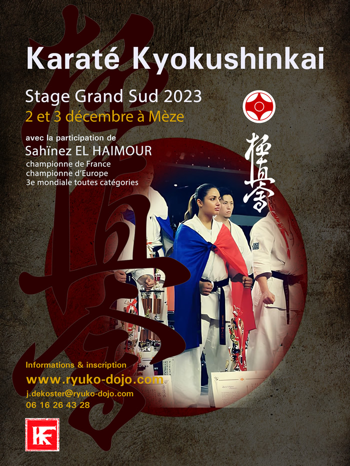 Stage de karaté Kyokushinkai à Mèze avec Shaïnez EL HAIMOUR
